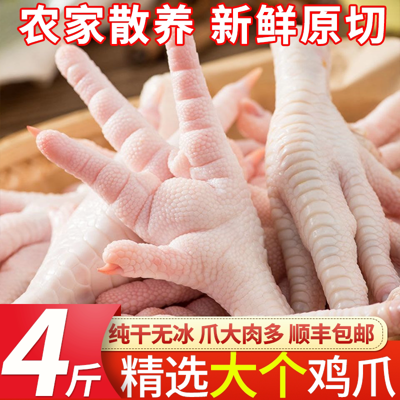 鸡爪子生鲜批发带骨新鲜图片