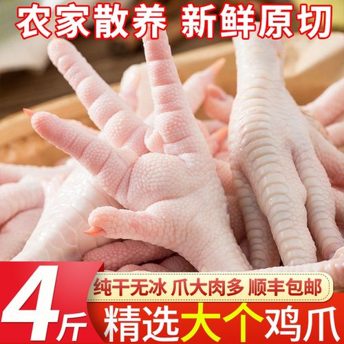 鸡爪子生鲜批发带骨新鲜