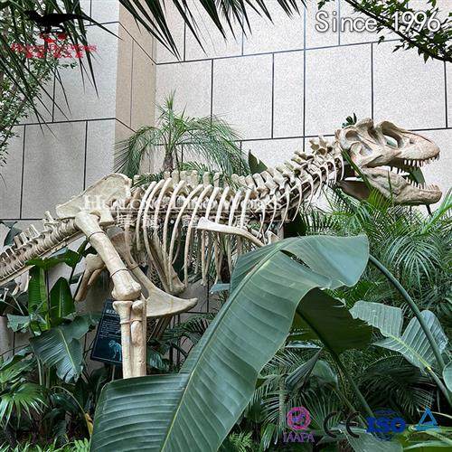 霸王龙仿真骨架模型玻璃钢蛋壳考古研学自贡恐龙大型工厂生产