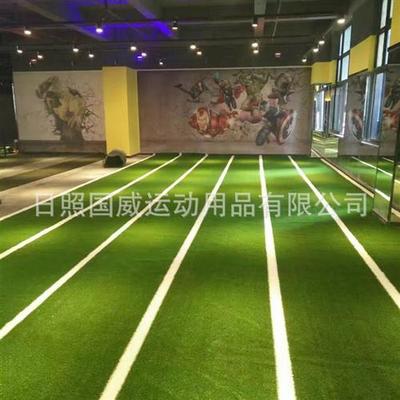 健身雪橇用人造草坪屋顶阳台健身房私教室工具仿真绿草皮跑道