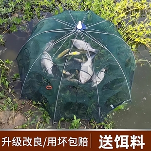 渔网鱼笼捞鱼网虾笼泥鳅黄鳝小龙虾鱼网自动折叠河虾螃蟹捕鱼神器
