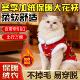 猫咪衣服冬季 东北大花袄英短银渐层幼猫狗狗博美泰迪保暖新年唐装