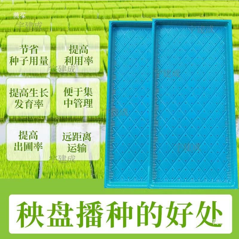 2024水稻e育秧盘 机插育苗盘 谷种育苗穴盘9寸平底软盘 营养钵托