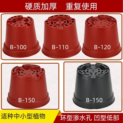 B型育苗营养杯圆形钵塑花盆平低盆栽绿植培植棕色[厂价大量直供]