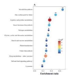 生信实验科研思路火山图实验外包动物细胞蛋白TCGA GEO生信分析