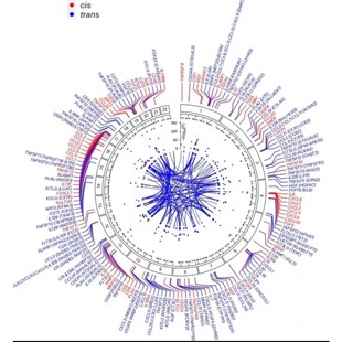 生信分析全程专业服务单细胞测序空间转录组蛋白组学