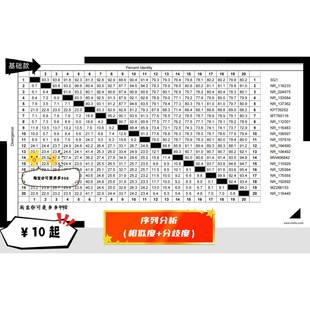 序列分析 多序列比对 相似度同源性 变异性分析个性化绘图