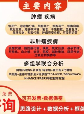 DFT计算 第一性原理计算 高斯 VASP MS CP2K 模拟计算 DFT代算