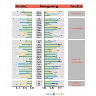 网络药理学SCI文章发表视频教程选题预测药物作用靶点验证实操