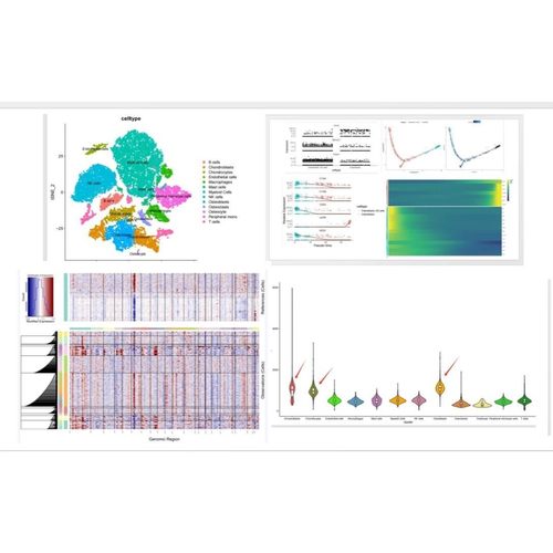 生信分析2-9分转录组多组学数据分析