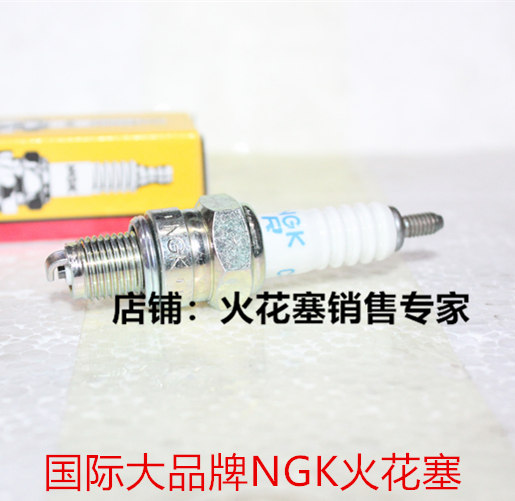 龙嘉250 V霸 V途 V咖250 LJ250 夜莺CA250双缸摩托适用NGK火花塞