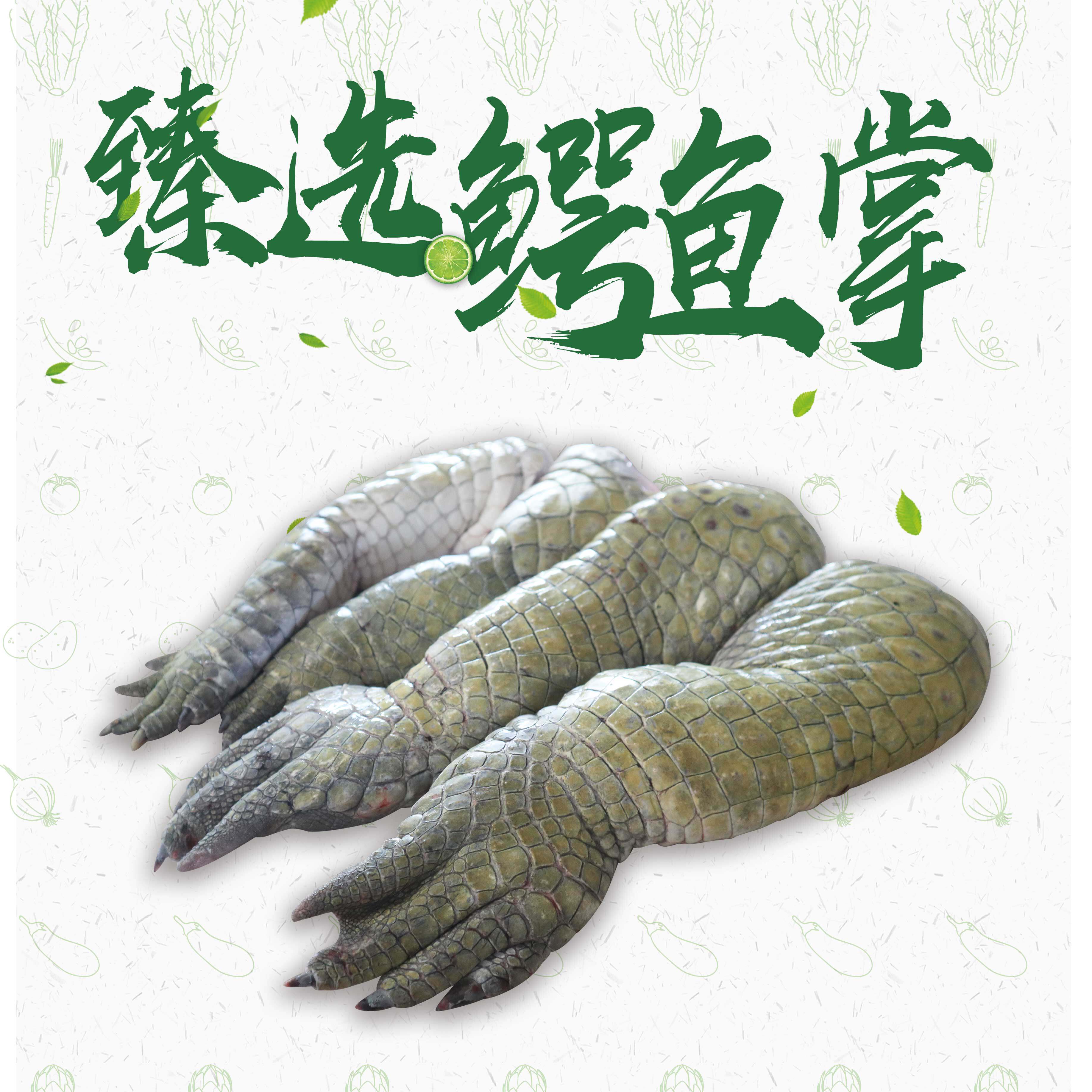 农场鳄鱼哥 基地直发新鲜带皮去鳞鳄鱼掌2.5斤