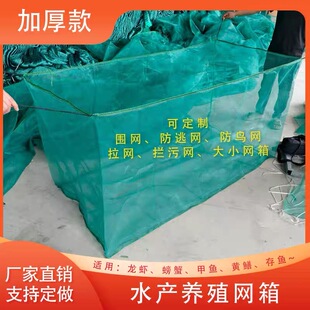 加厚养鱼网箱存鱼网箱黄鳝泥鳅牛蛙育苗网箱加盖防逃水产养殖网箱