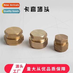 Threaded Tube Fting Brass Plug Pipe Cap Flat Plate Solar Fti