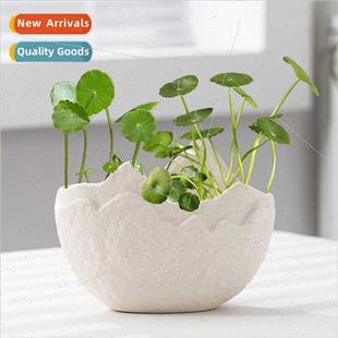 flower ceramic pots modern plant Creative green simple