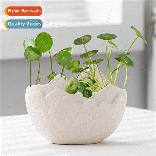 Creative simple ceramic flower pots modern green plant plant
