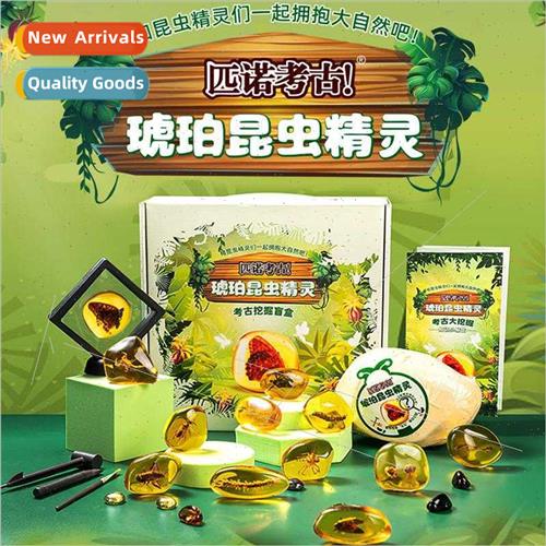 Ancient Amber Insect Wizard Digging  Box  Set Toys Puzzle Ha