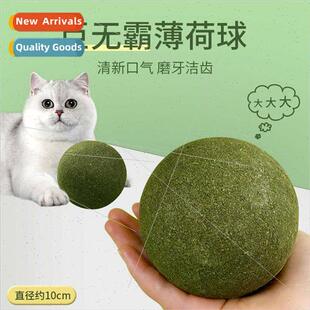 Cat toys catnip ball oversized self high boredom relief cat