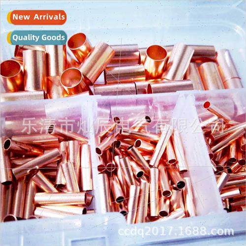 Copper Connecting Tubes 250PCS Small Copper Tubes GT1-6mm Pu