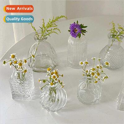 Home living room mini vase ins wind transparent hydroponic f