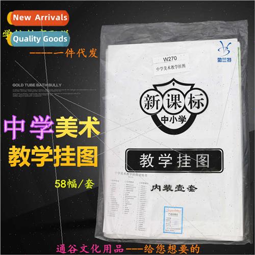 58 Art Teaching Wall Charts 适用Secondary Schools Folio Copp