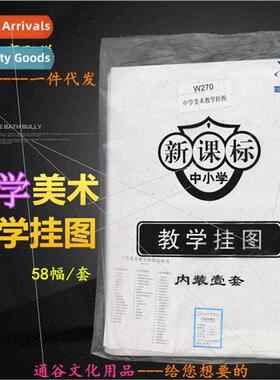 58 Art Teaching Wall Charts 适用Secondary Schools Folio Copp