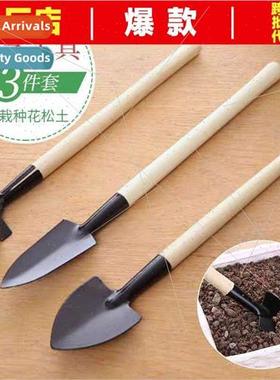 Gardening threePCS set spade rake succulent plant set multif