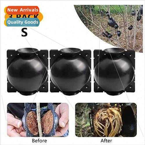 Rooting propagator Garden Branch Rooting Propagator Propagat