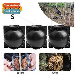 Branch Rooting propagator Garden Propagat Propagator