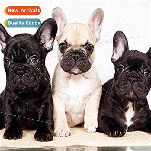 Cross Stch New DIY Three Dogs Full Stch mple Handmade Thread