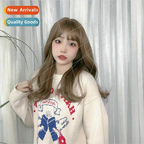 Wig female long hair air bangs simulation human hair long cu