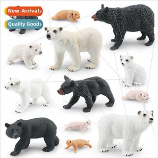 bear animals growth cycle Forest puzzle children model cogni