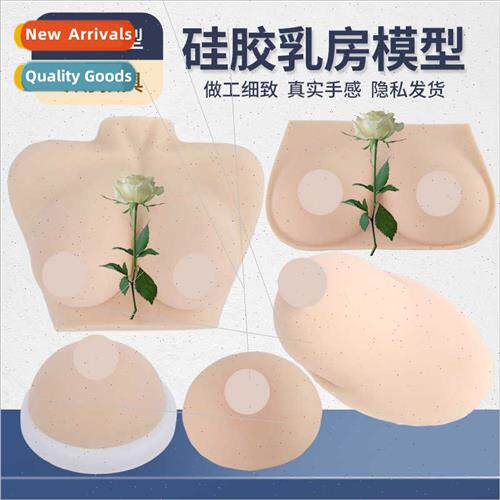 Female Breast Model Doula Training Props Breastfeeding Teach