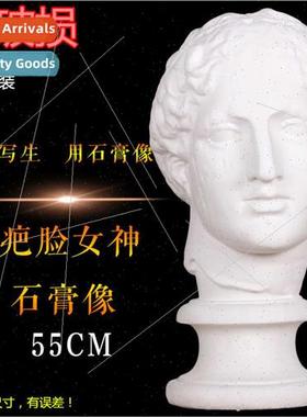Scarface Goddess Plaster Statue Hemp-faced Venus Head Art Su