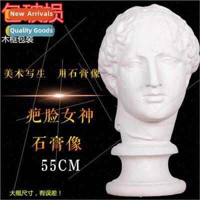 Scarface Goddess Plaster Statue Hemp-faced Venus Head Art Su