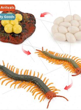 Centipede growth cycle model children science education rept