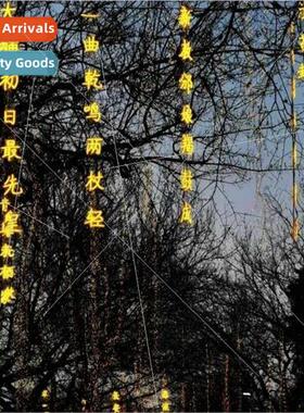 Landscape Chandelier Poetry Glowing Word Bar Outdoor Park Se