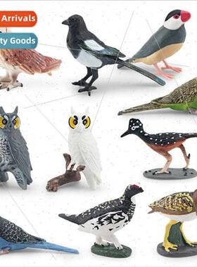 Wildlife bird model parrot thunderbird colorful sandpiper ow