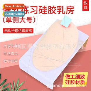 Soft licone Dummy Lactation Home Training Breasts Teacher