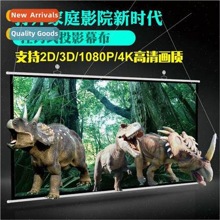 Whe Glass Fibre Wall Hook Projector Screen 60 72 84 100 inch