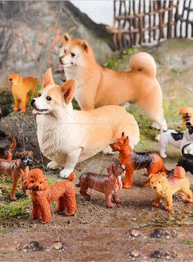 Dog model solid ornaments Golden Retriever Shiba Inu Corgi B