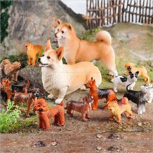 Dog model solid ornaments Golden Retriever Shiba Inu Corgi B