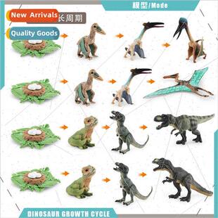 model pterodac Dinosaur animal life cycle growing small toys
