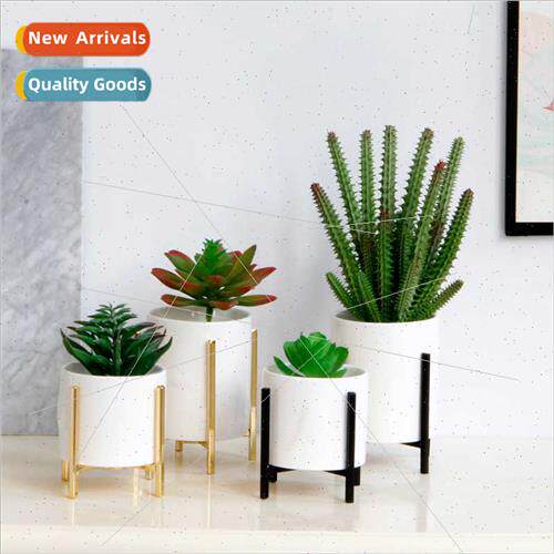 mple modern ceramic succulent plant pots home decoration Sca