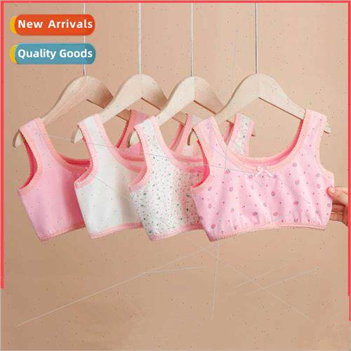 Teenage girls underwear elementary school students developme