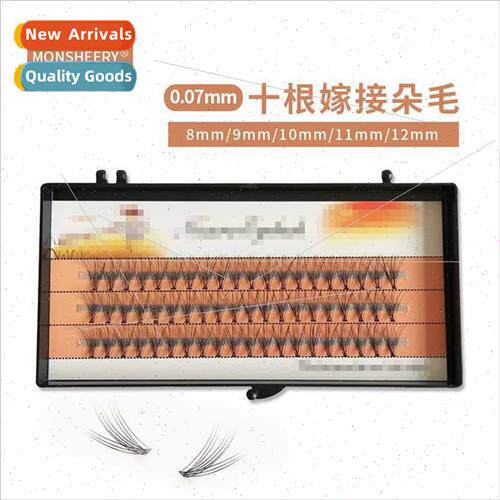 Mink Eyelashes 10 Eyelashes 0.07 Extensions Scarecrow False