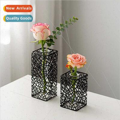 Scandinavian iron test tube transparent glass vase arrangeme