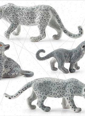 animal model jungle wild leopard family sandbox static snow
