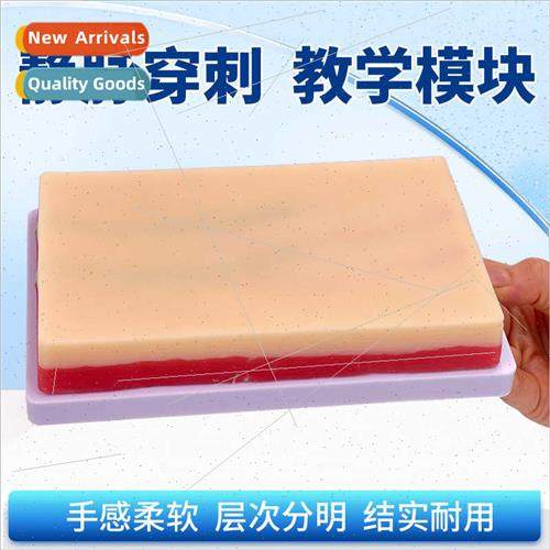 Multifunctional Intramuscular Injection Practice Module Medi