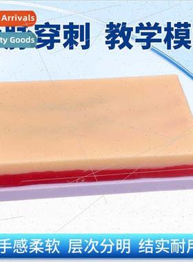 Multifunctional Intramuscular Injection Practice Module Medi